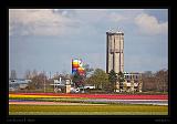 Keukenhof Hollandia 052